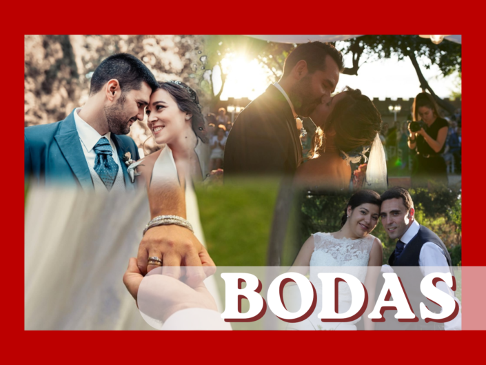 Bodas 💍